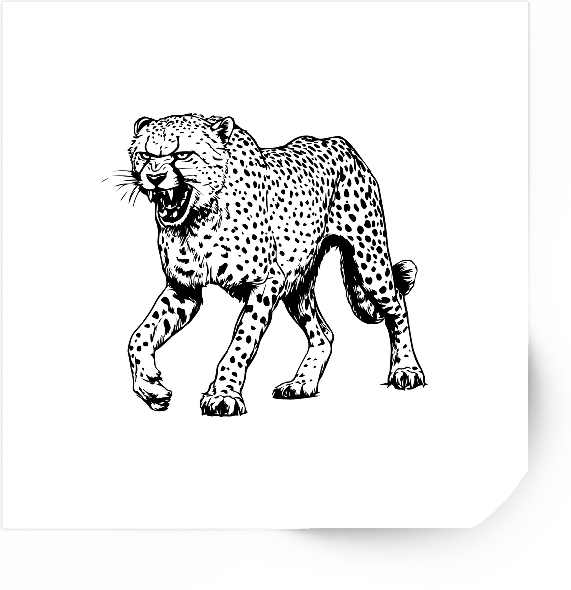 Prowling Cheetah Sticker | Black Ink Big Cat Vinyl Decal | Wildlife Lover Gift
